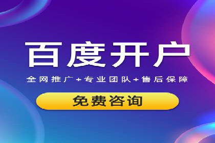 竞价推广策略：某电商平台的成功案例